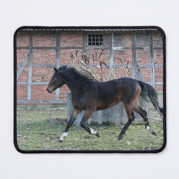 Item preview, Horse designed and sold by Calidris Fotografie Steffi & Ben Köppler.