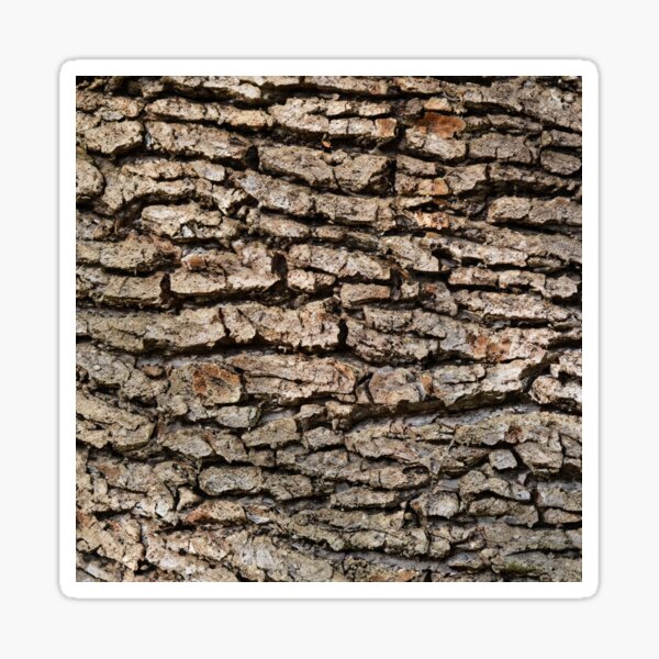 Item preview, Bark Print designed and sold by AWalkPhoto.