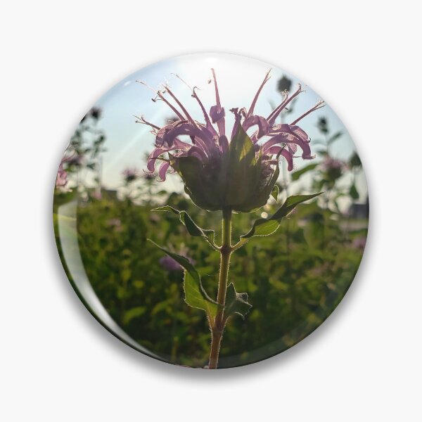 Item preview, Wild Bergamot fields forever. designed and sold by GardenOfPeace.
