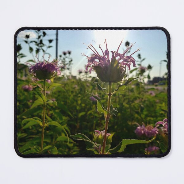 Item preview, Wild Bergamot fields forever. designed and sold by GardenOfPeace.
