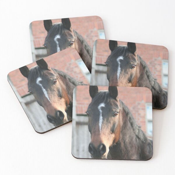Item preview, Portrait of a Horse designed and sold by Calidris Fotografie Steffi & Ben Köppler.