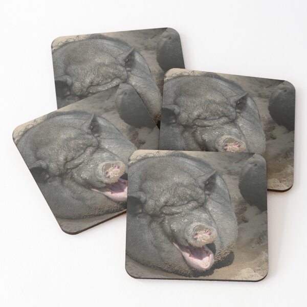 Item preview, Pot belly pig designed and sold by Calidris Fotografie Steffi & Ben Köppler.