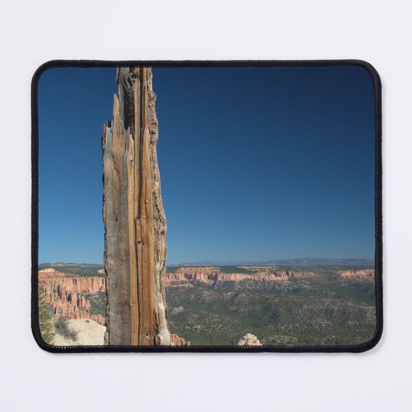 Item preview, Tree In Bryce Canyon designed and sold by KWAPhoto.