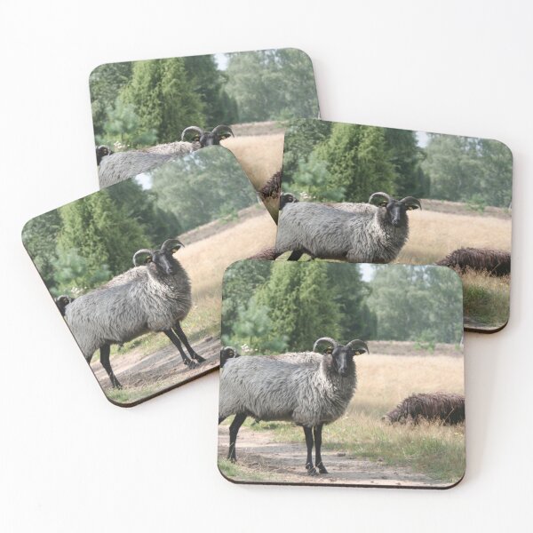Item preview, Heidschnucke designed and sold by Calidris Fotografie Steffi & Ben Köppler.