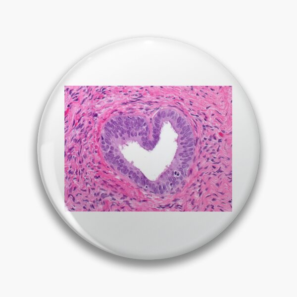 Item preview, Heart Prostate Cell Histology designed and sold by PictoParade.