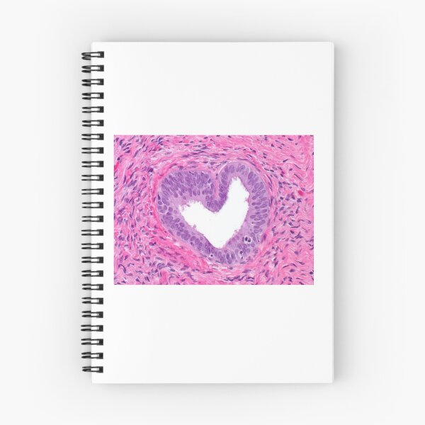 Item preview, Heart Prostate Cell Histology designed and sold by PictoParade.