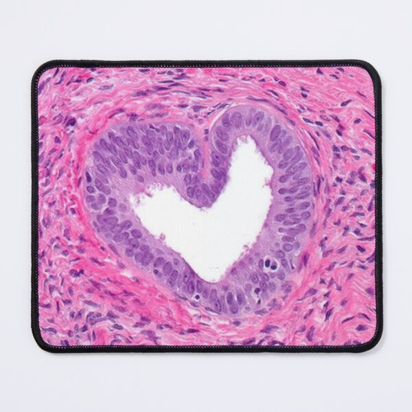 Item preview, Heart Prostate Cell Histology designed and sold by PictoParade.