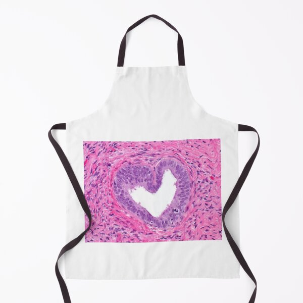 Item preview, Heart Prostate Cell Histology designed and sold by PictoParade.