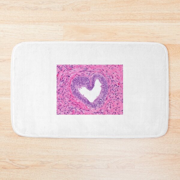 Item preview, Heart Prostate Cell Histology designed and sold by PictoParade.