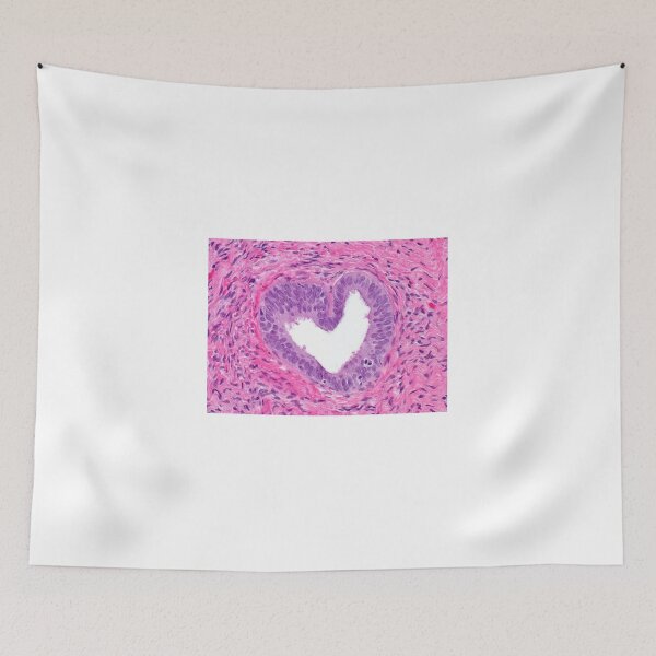 Item preview, Heart Prostate Cell Histology designed and sold by PictoParade.