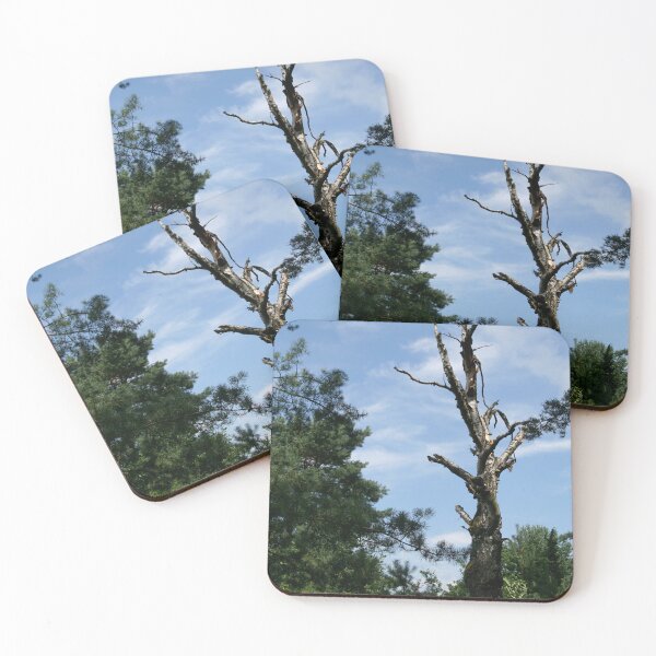 Item preview, Dead Tree designed and sold by Calidris Fotografie Steffi & Ben Köppler.