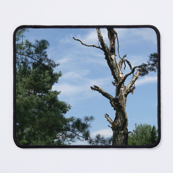 Item preview, Dead Tree designed and sold by Calidris Fotografie Steffi & Ben Köppler.