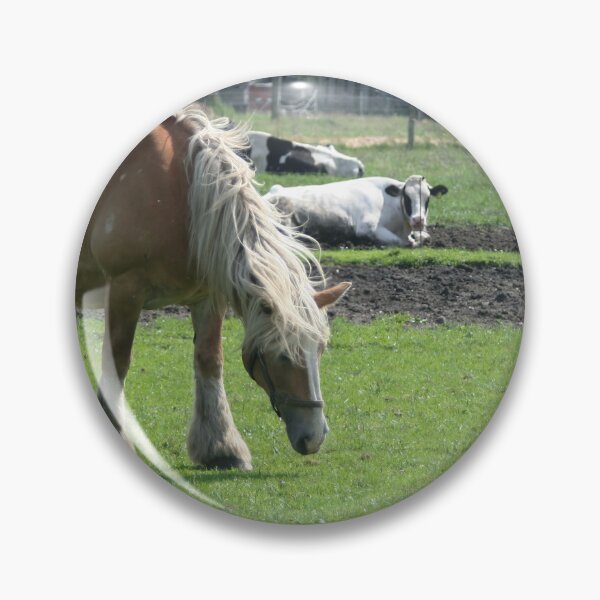 Item preview, Draft Horse designed and sold by Calidris Fotografie Steffi & Ben Köppler.