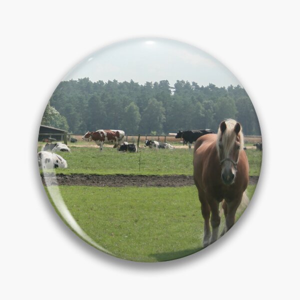 Item preview, Draft horses and cows designed and sold by Calidris Fotografie Steffi & Ben Köppler.