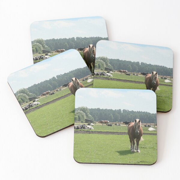 Item preview, Draft horses and cows designed and sold by Calidris Fotografie Steffi & Ben Köppler.
