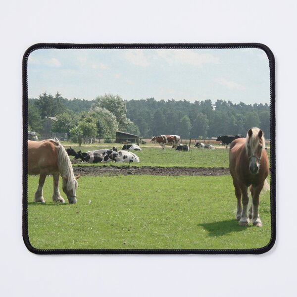 Item preview, Draft horses and cows designed and sold by Calidris Fotografie Steffi & Ben Köppler.