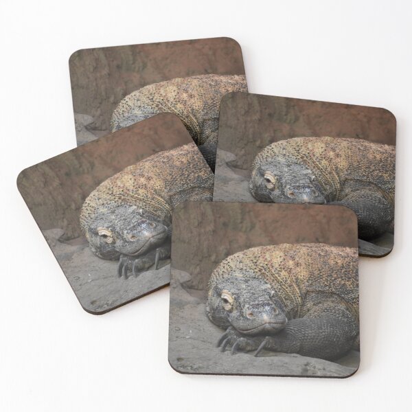 Item preview, Komodo Dragon  designed and sold by Sharon the Zoo Lady Photography .