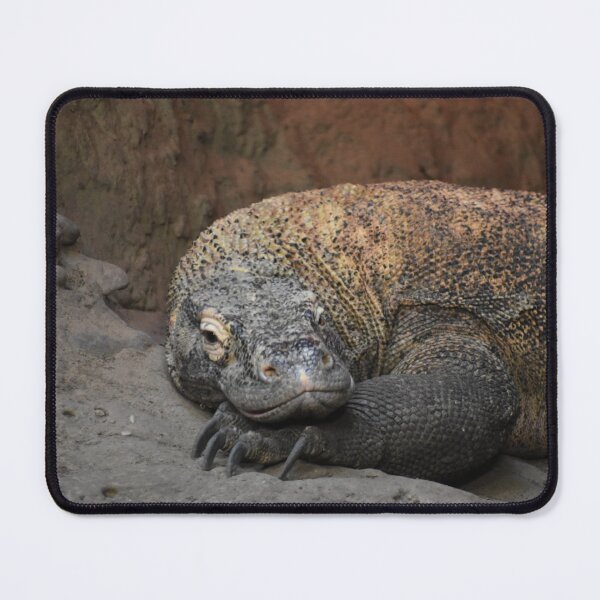 Item preview, Komodo Dragon designed and sold by Sharon the Zoo Lady Photography .