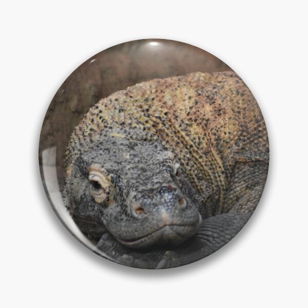 Artikelvorschau, Komodowaran entworfen und verkauft von Sharon the Zoo Lady Photography .