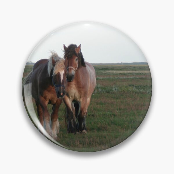 Item preview, Drafthorses on the meadow designed and sold by Calidris Fotografie Steffi & Ben Köppler.