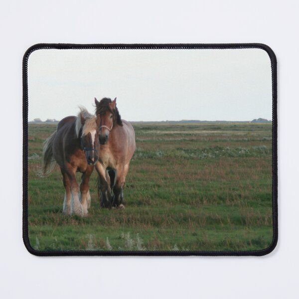 Item preview, Drafthorses on the meadow designed and sold by Calidris Fotografie Steffi & Ben Köppler.