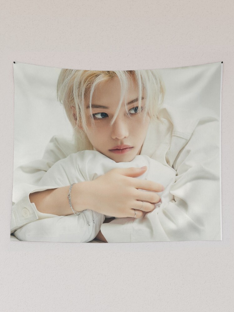 Lee Felix Stray Kids - 2024 Season's Greetings 'Perfect Day with