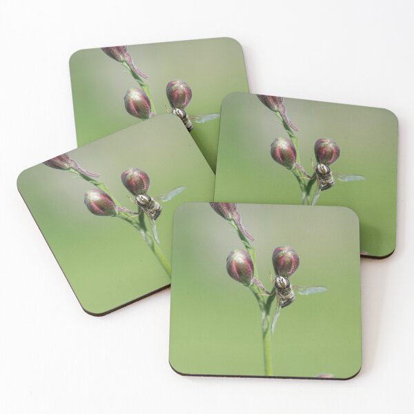 Item preview, Flower Fly designed and sold by Calidris Fotografie Steffi & Ben Köppler.