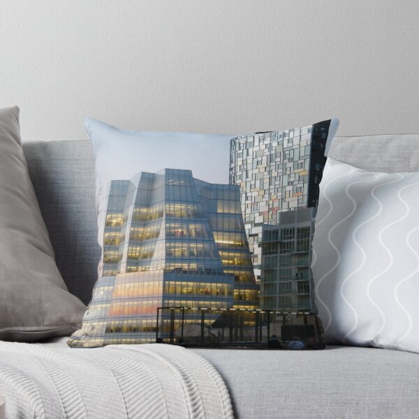 Item preview, High Line View, Frank Gehry Building, New York designed and sold by lenspiro.
