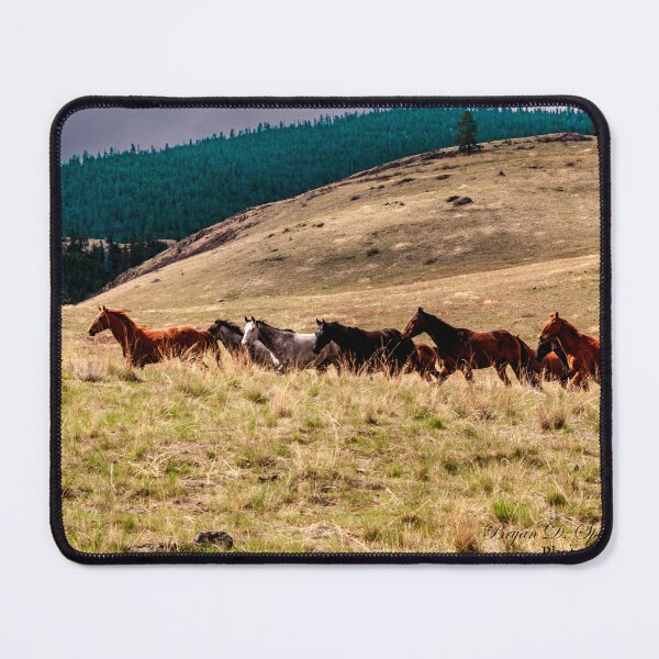Item preview, Iconic Montana designed and sold by Bryan Spellman.