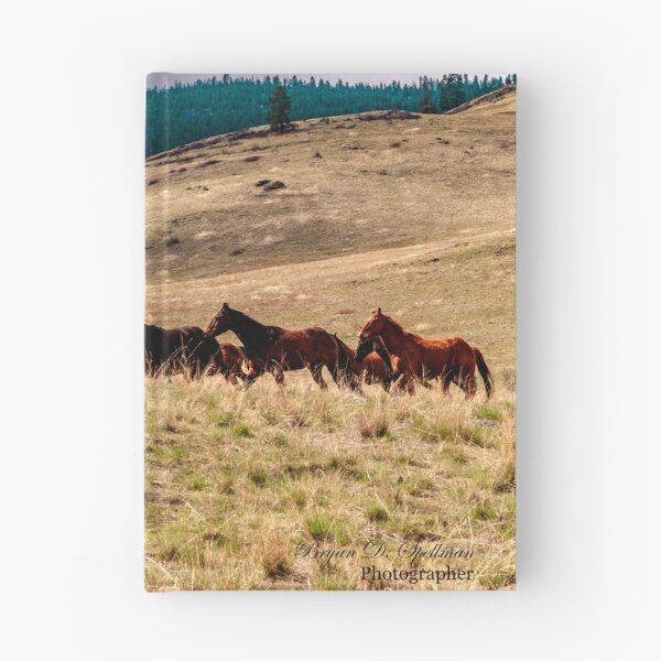 Item preview, Iconic Montana designed and sold by Bryan Spellman.
