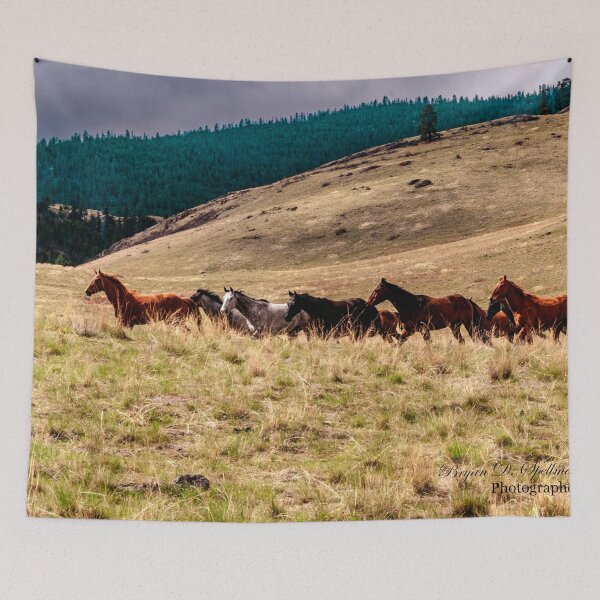 Item preview, Iconic Montana designed and sold by Bryan Spellman.