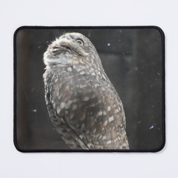Item preview, Burrowing Owl  designed and sold by Sharon the Zoo Lady Photography .