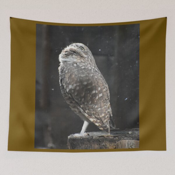 Item preview, Burrowing Owl  designed and sold by Sharon the Zoo Lady Photography .