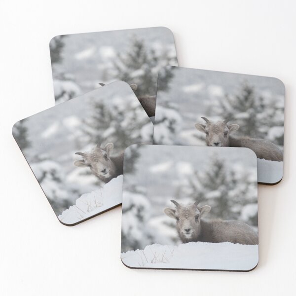Item preview, Young Bighorn in the snow designed and sold by Marc Neal.
