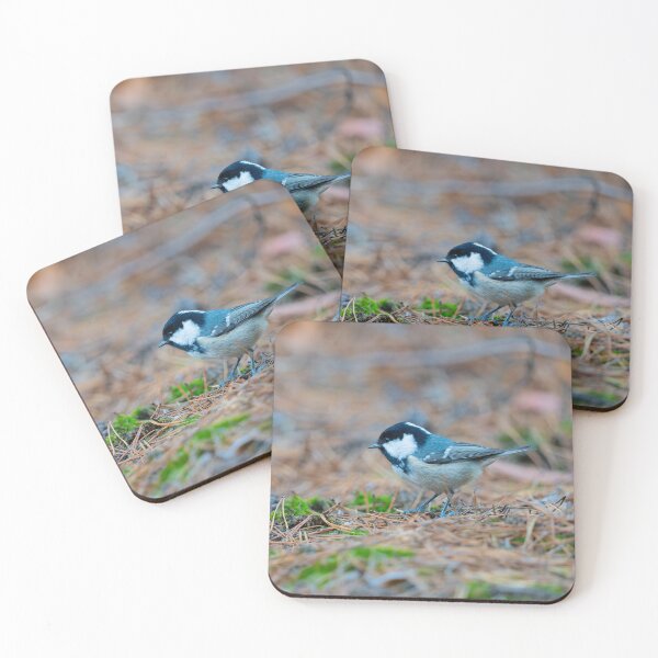 Item preview, Coal tit (Poecile atricapilla) in the forest designed and sold by ART-SUNRISE.