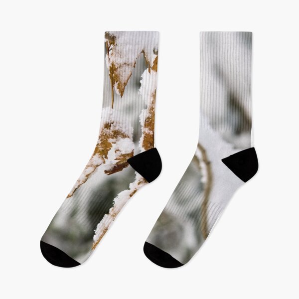 Item preview, Rowans1. First snow views designed and sold by Jouko Lehto Photography.