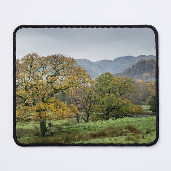 Item preview, Autumn in Borrowdale designed and sold by John Dunbar.