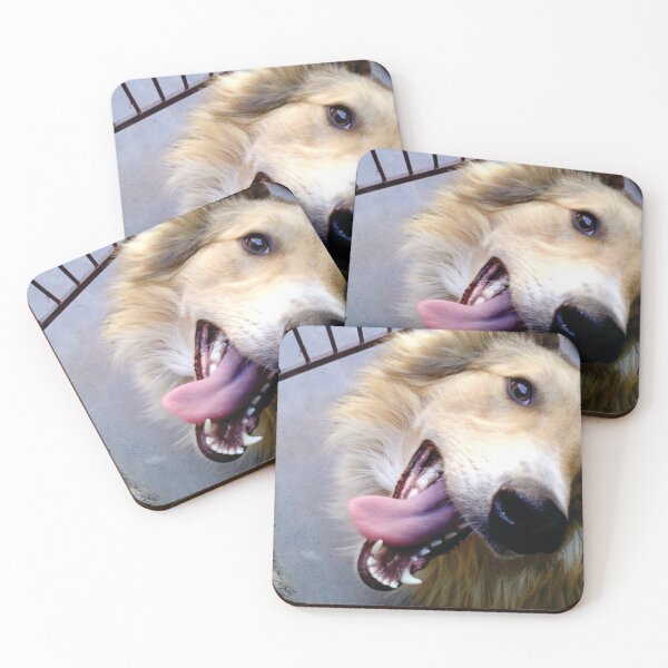 Item preview, Santiago the collie designed and sold by Viviana4997.