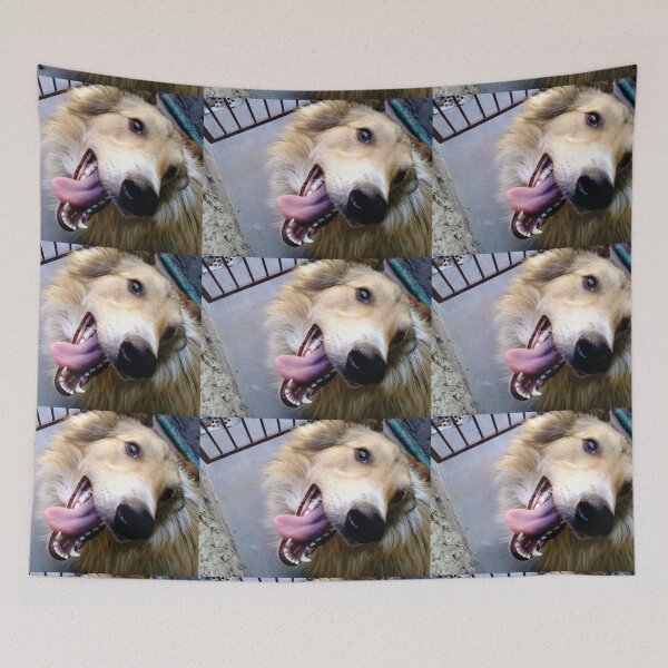 Item preview, Santiago the collie designed and sold by Viviana4997.