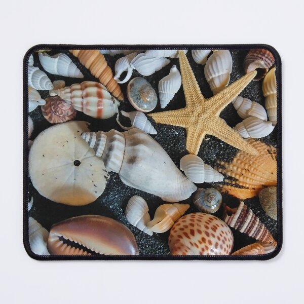 Item preview, Starfish and Shells in Black Sand designed and sold by Tree45.