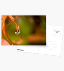 Eloquent Postcards