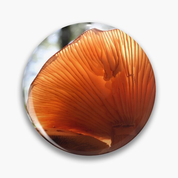 Artikelvorschau, Sunlit Mushroom entworfen und verkauft von AnthonyThomas.