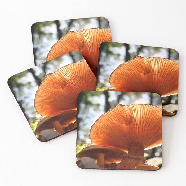 Item preview, Sunlit Mushroom designed and sold by AnthonyThomas.