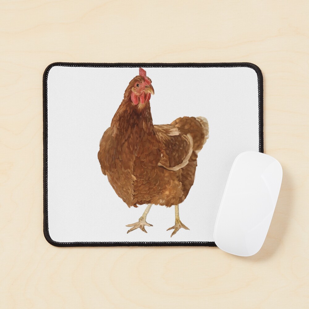 rhode island red chicken Sticker