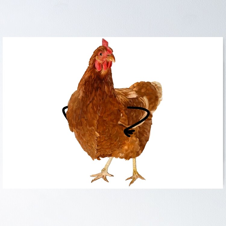 rhode island red chicken Sticker