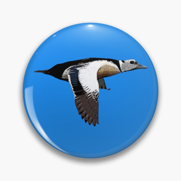 Item preview, Stellers Eider Flying Color Design  designed and sold by designsasstultd.