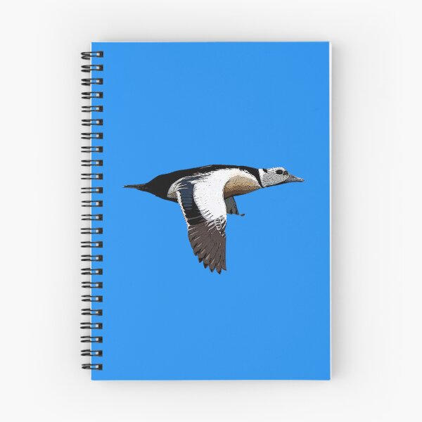 Item preview, Stellers Eider Flying Color Design  designed and sold by designsasstultd.