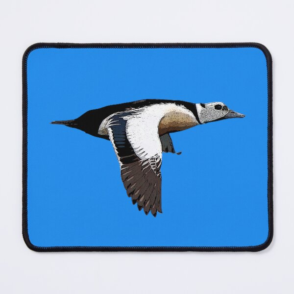 Item preview, Stellers Eider Flying Color Design  designed and sold by designsasstultd.