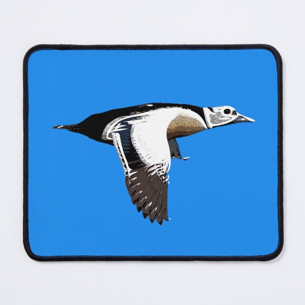 Item preview, Stellers Eider Flying White Alternate Design  designed and sold by designsasstultd.