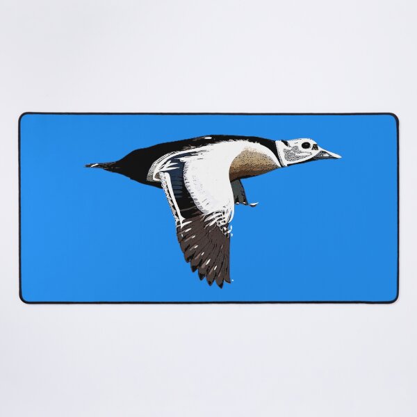Item preview, Stellers Eider Flying White Alternate Design  designed and sold by designsasstultd.